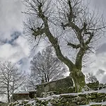 Casa Do Rio, Natureza - Nova Gestao