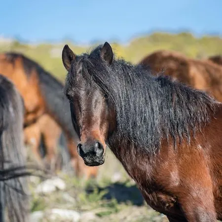 Casa Do Rio, Natureza - Nova Gestao Vakantieboerderij Melgaço