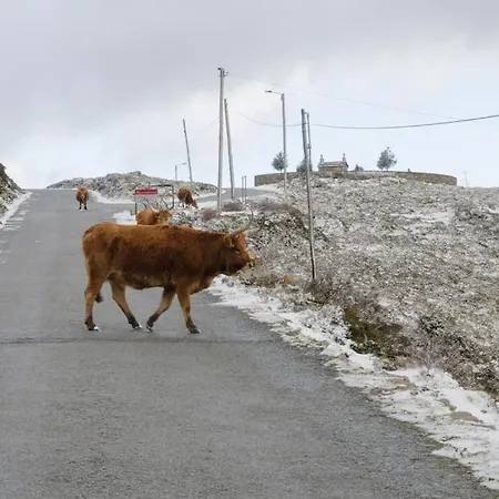 Vakantieboerderij Casa Do Rio, Natureza - Nova Gestao