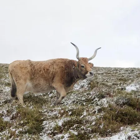Casa Do Rio, Natureza - Nova Gestao Vakantieboerderij *