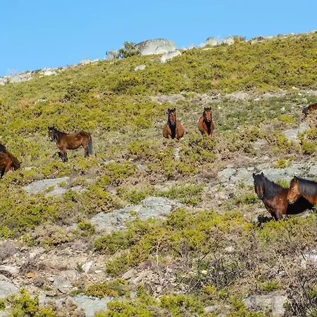 Casa Do Rio, Natureza - Nova Gestao Vakantieboerderij *