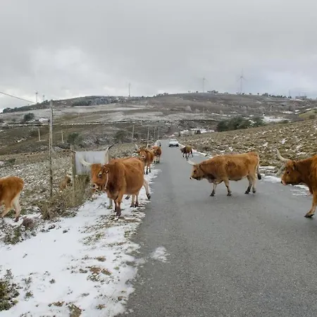Casa Do Rio, Natureza - Nova Gestao *