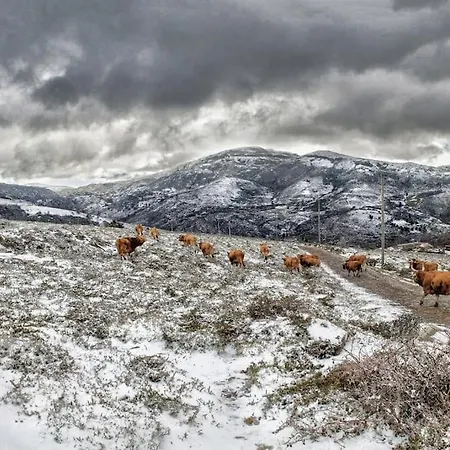 Casa Do Rio, Natureza - Nova Gestao 农家乐 *