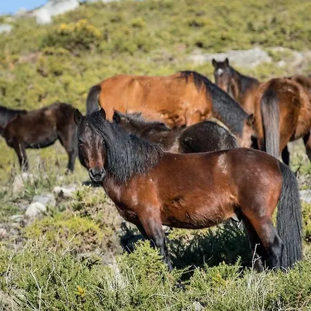 Casa Do Rio, Natureza - Nova Gestao *