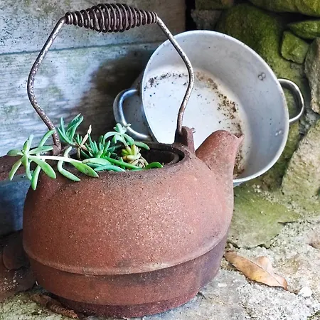 Casa Do Rio, Natureza - Nova Gestao *