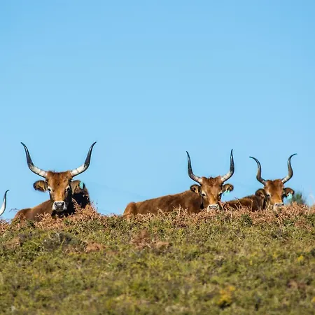 Casa Do Rio, Natureza - Nova Gestao 农家乐 *