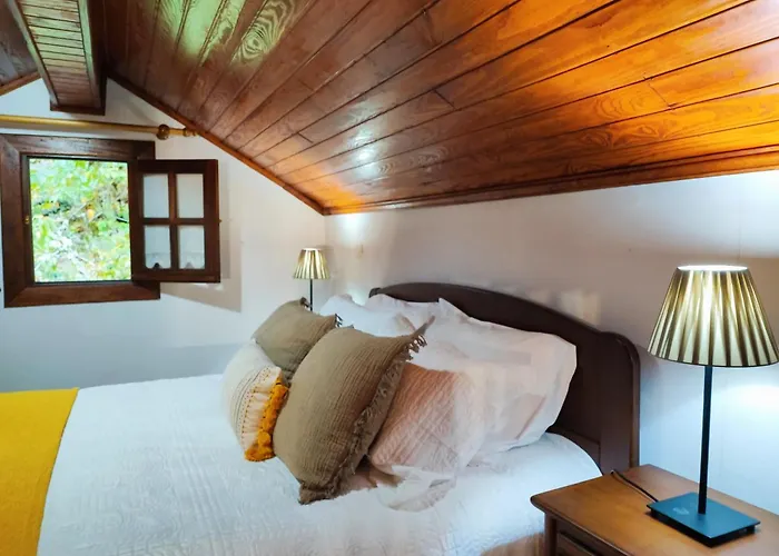 Casa Do Rio, Natureza - Nova Gestao *