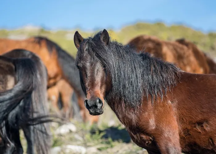 Farm stay Casa Do Rio, Natureza - Nova Gestao