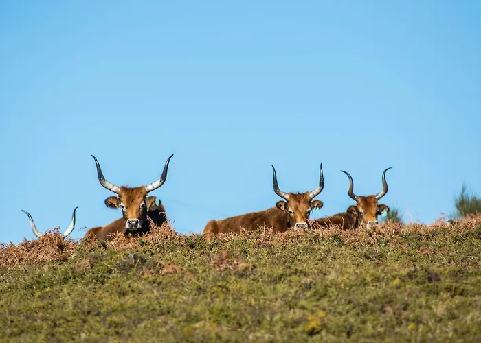 Casa Do Rio, Natureza - Nova Gestao *