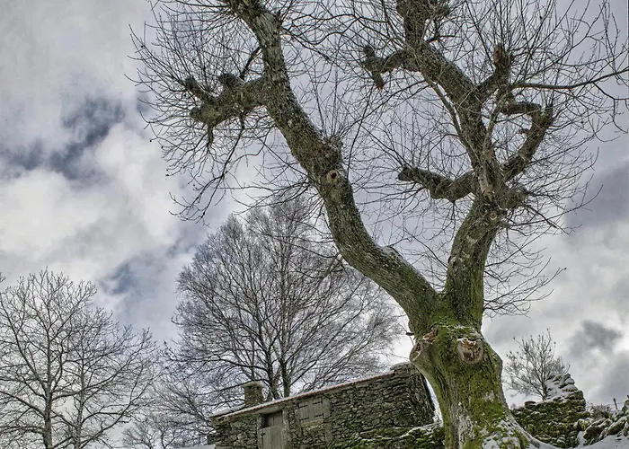 Casa Do Rio, Natureza - Nova Gestao