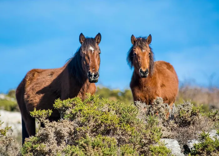 Farm stay Casa Do Rio, Natureza - Nova Gestao *